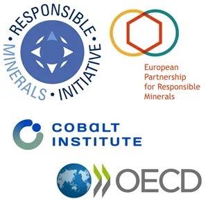 OECD, Cobalt Institute, EPRM and the RMI (Responsible Business Alliance)