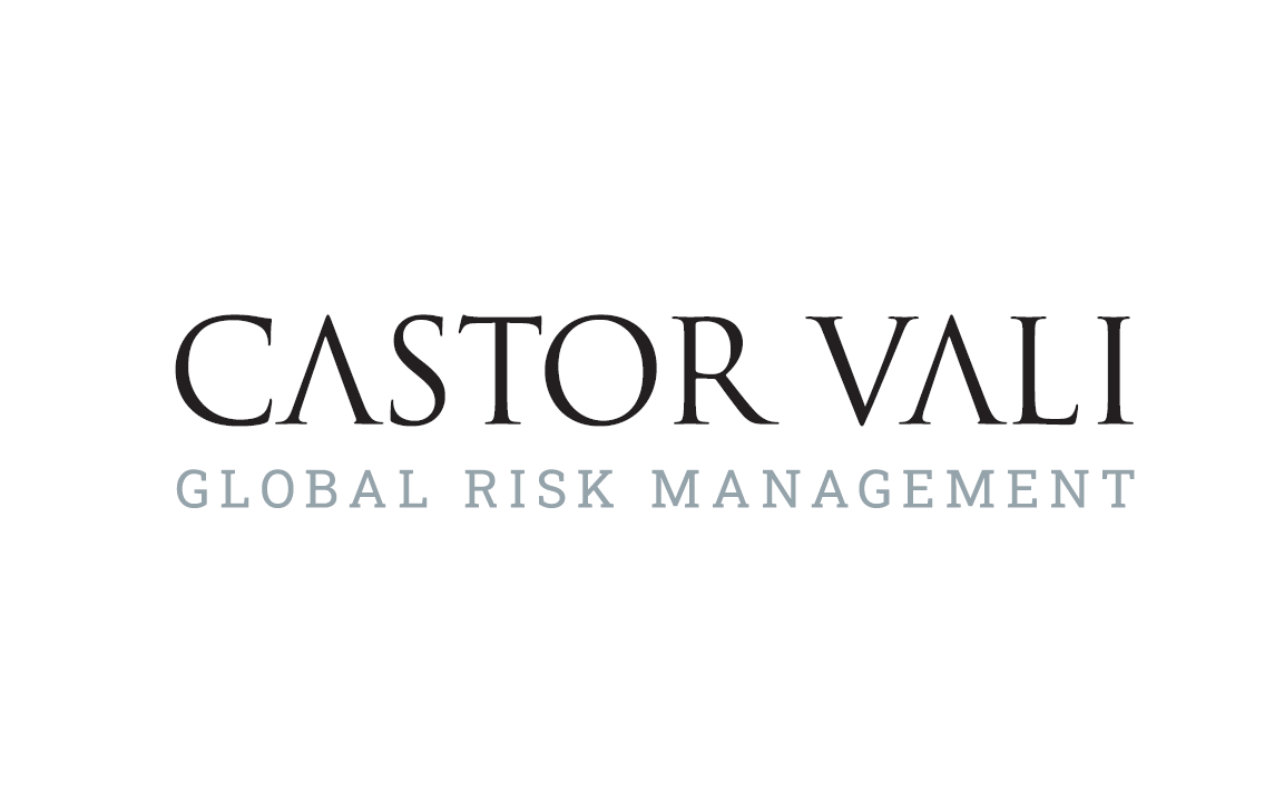 CASTOR VALI GROUP