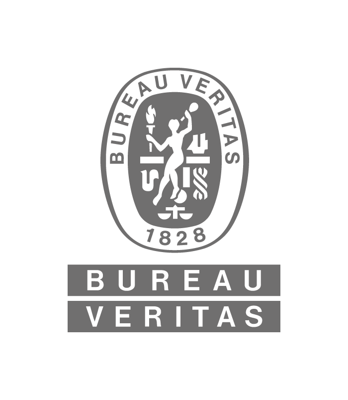 Bureau Veritas Testing & Inspection SA (Pty) Ltd