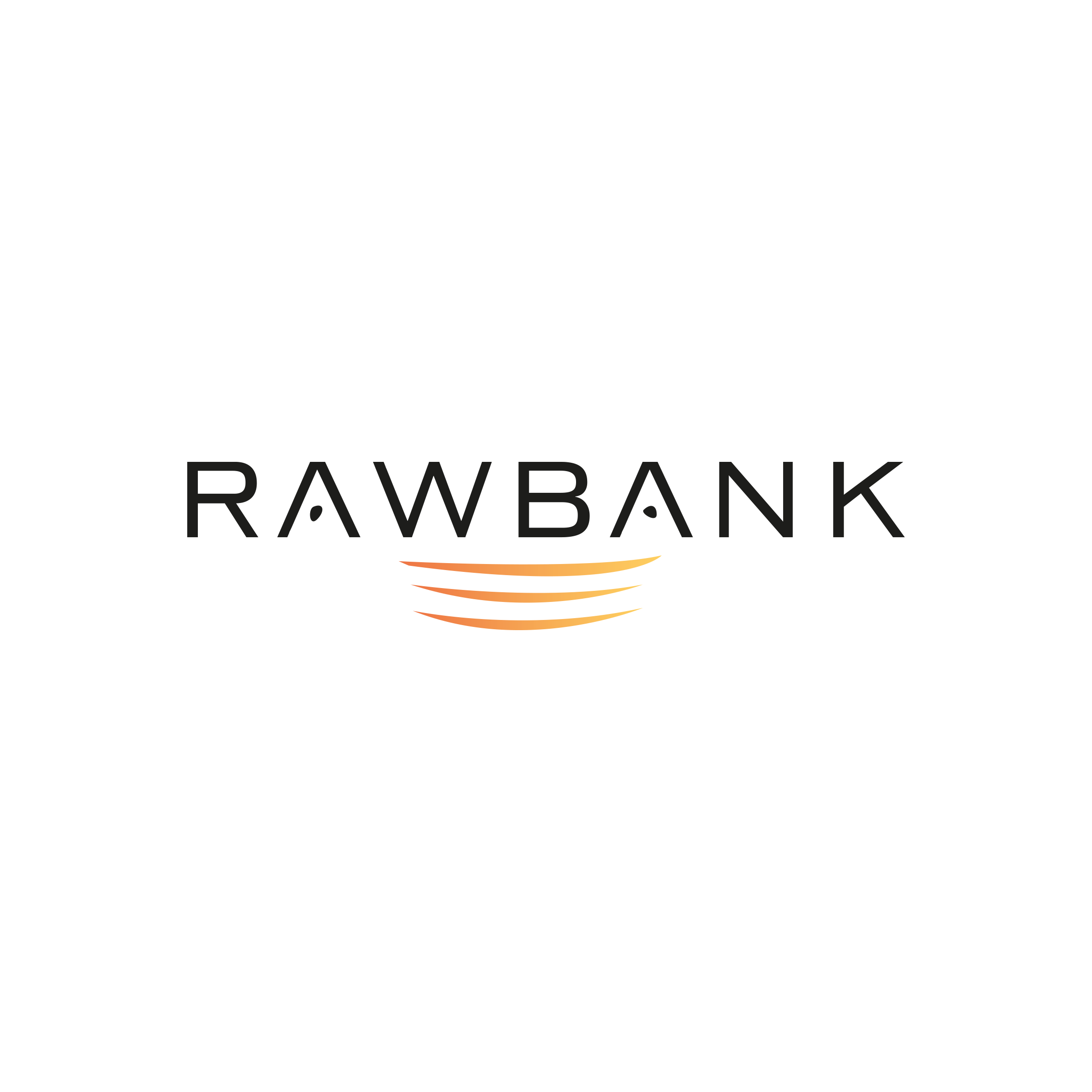 RAWBANK SA