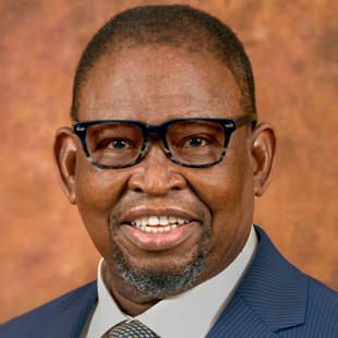 Hon. Enoch Godongwana