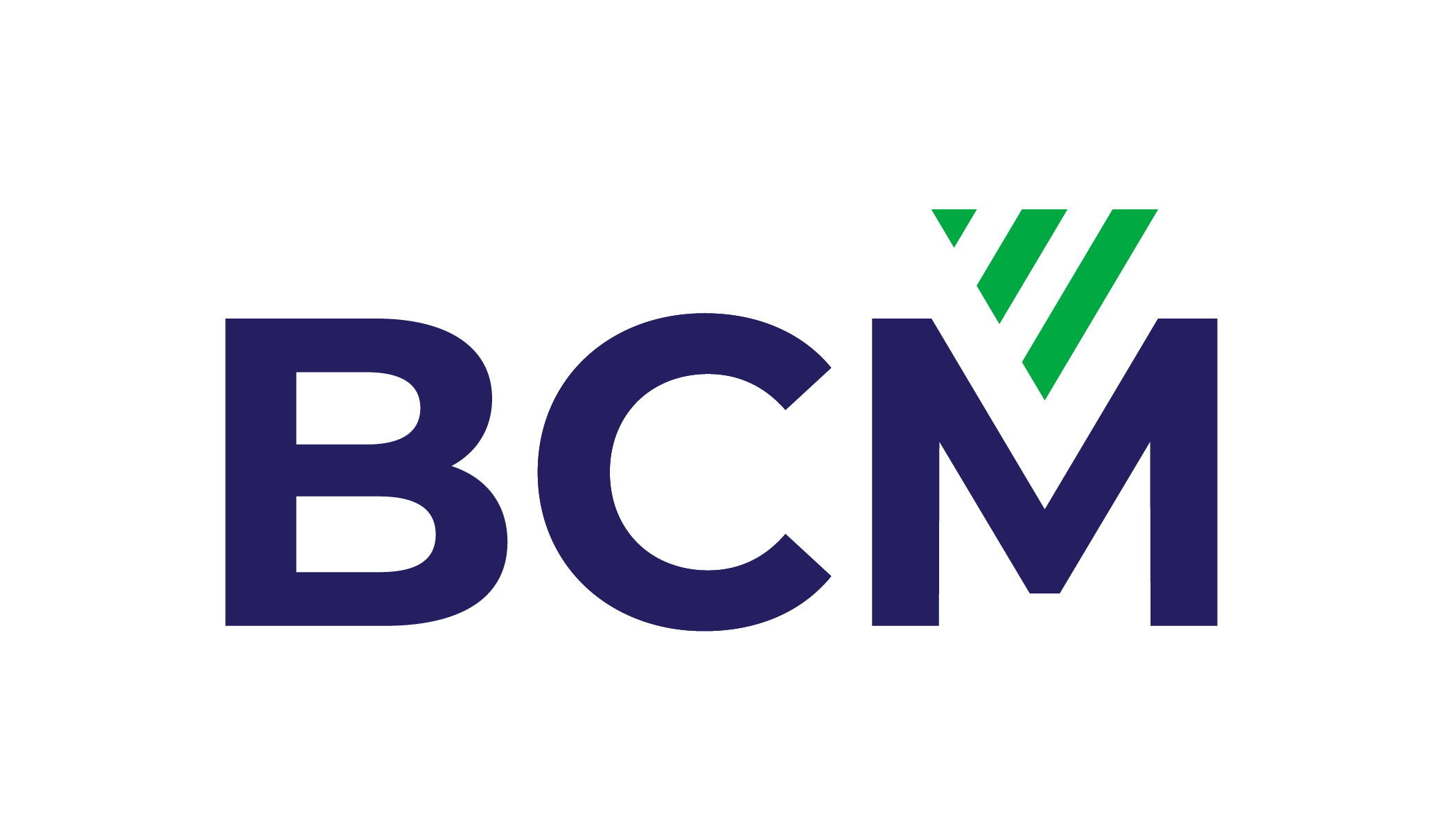 BCM GROUP