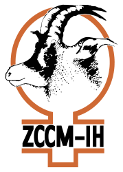 ZCCM Investments Holdings Plc